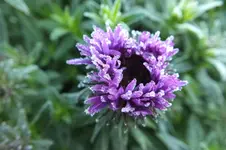 2012_0920Sommer0016.webp