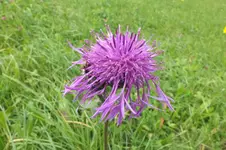 2012_0920Sommer0001.webp