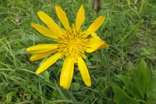 2012_0920Sommer0003.webp