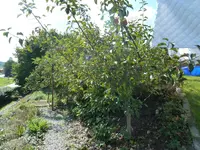 P1030246.webp