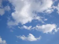DSC00285.webp