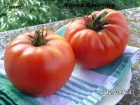 BILD0846.webp
