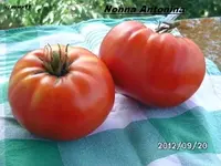 BILD0847.webp