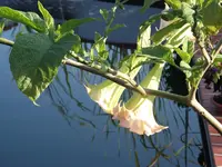 DSCF2523.webp