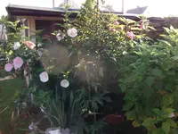 DSCF2524.webp