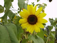 DSCI0604.webp