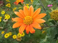 DSCI0617.webp