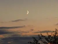 Mond_302.webp