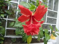 CIMG6979.webp