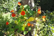2012_0918Sommer0014.webp