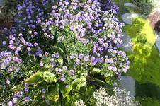 2012_0921Sommer0004.webp