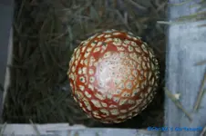 comp_DSC08526.webp