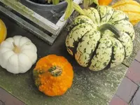 025.webp