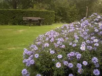 Foto-0036.webp