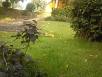 Foto-0049.webp
