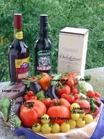 BILD0868.webp