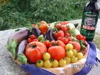 BILD0871.webp