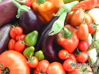 BILD0874.webp