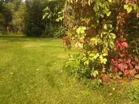 Foto-0051.webp