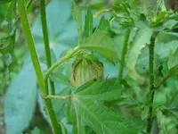 DSC01428.webp