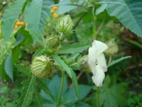 DSC01424.webp