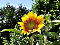 fer4er45xcv.webp