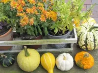 024.webp