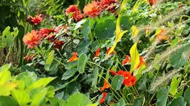 Herbsteinblick1_900.webp
