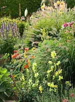 Herbsteinblick2_500.webp