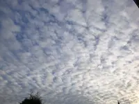 DSC00375.webp