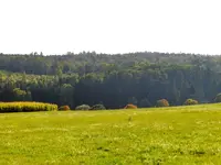 Herbstliche Flur_202.webp