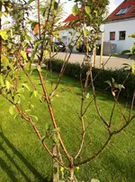 IMG_0190.webp