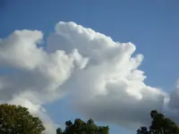 DSC00355.webp