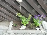 P1020890~1.webp