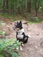 Waldspaziergang 018.webp