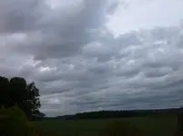 P1030346.webp