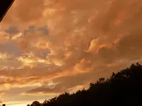 P1030359.webp