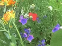 166006_434722653215548_698452592_n.webp