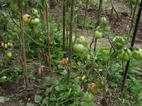 DSCF2673.webp