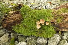 2012_0924Herbst0001.webp