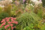 2012_0924Herbst0011.jpg