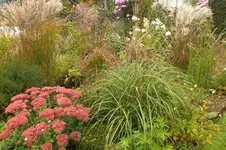 2012_0924Herbst0011.webp