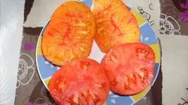 S7307993.webp