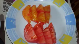 S7307998.webp