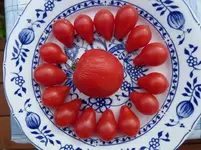 rote Birne.webp