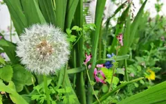 Copy of IMG_3300 v.webp