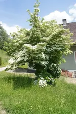 07_06_2012 (14).webp