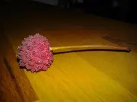 2012-09-25 15.26.20.webp
