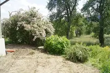 07_06_2012 (5).webp