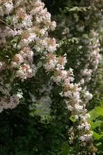 07_06_2012 (19).webp